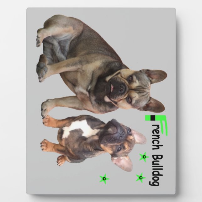 Französische Bulldoggen Fotoplatte Plaque (Front)