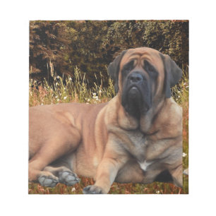 Französische Bulldoggen Mastiff Notizblock Notepad