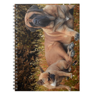 Französische Bulldoggen Mastiff Notizbuch Spiral Notebook