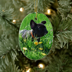 Französische Bulldoggen Ornament Anhänger