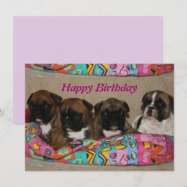 Französische Bulldoggen Postkarte Invitation (Front/Back)