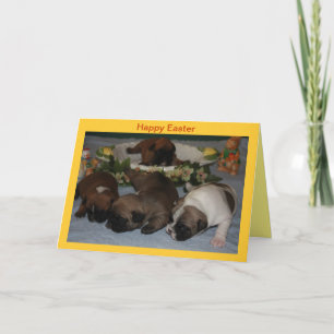 Französische Bulldoggen Postkarte Ostern Holiday Card