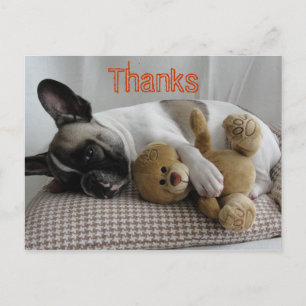 Französische Bulldoggen Postkarte "Thanks" Postcard