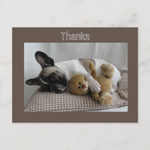 Französische Bulldoggen Postkarte "Thanks" Postcard