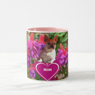 Französische Bulldoggen Postkarten Mug