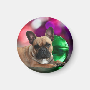 Französische Bulldoggen runder Magnet