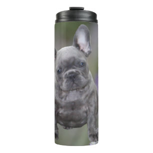 Französische Bulldoggen Thermosbecher Thermal Tumbler