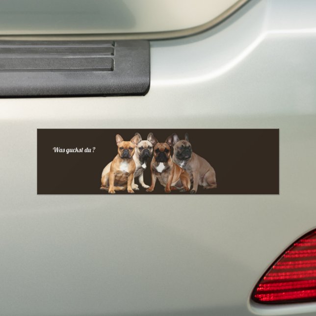 Französische Bulldoggen Was guckst du ?  Bumper Sticker (On Car)