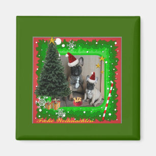 Französische Bulldoggen Weihnachten Magnet