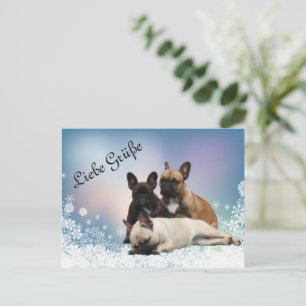 Französische Bulldoggen Winterlandschaft Postcard