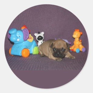 Französischen Bulldoggen Classic Round Sticker