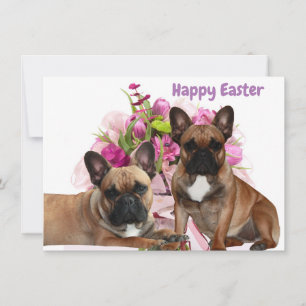 Französischen Bulldoggen Holiday Card