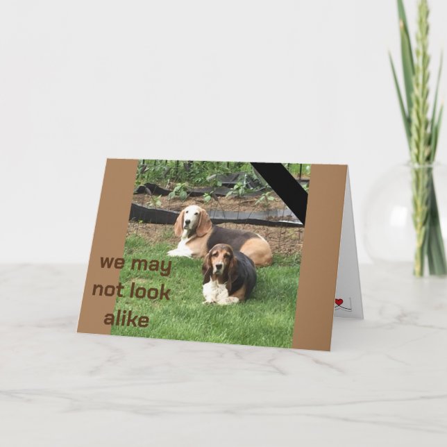 **FRATERNAL TWIN** ON OUR BIRTHDAY  CARD (Front)