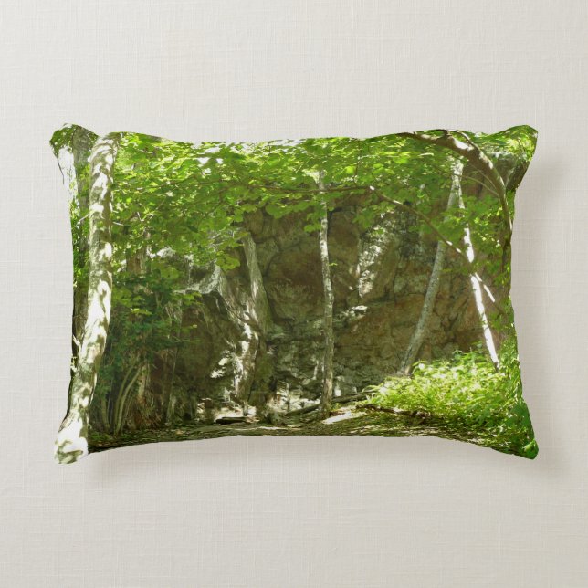 Frazier Discovery Trail at Shenandoah Photography Decorative Cushion (Front)