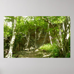 Frazier Discovery Trail at Shenandoah Photography Poster