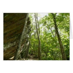 Frazier Rock Wall in Shenandoah National Park