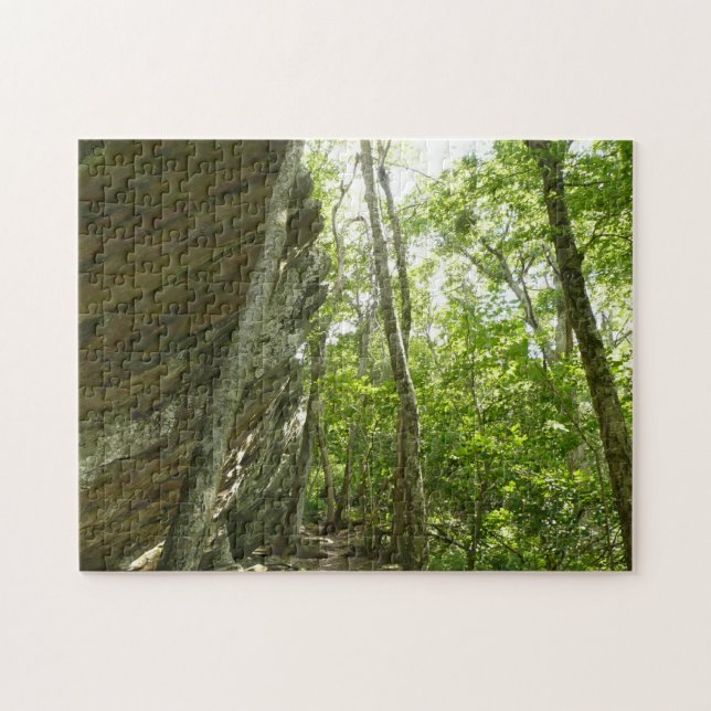 Frazier Rock Wall in Shenandoah National Park Jigsaw Puzzle (Horizontal)