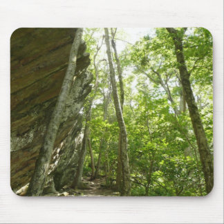 Frazier Rock Wall in Shenandoah National Park Mouse Pad