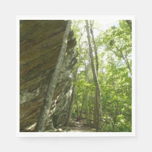 Frazier Rock Wall in Shenandoah National Park Napkin