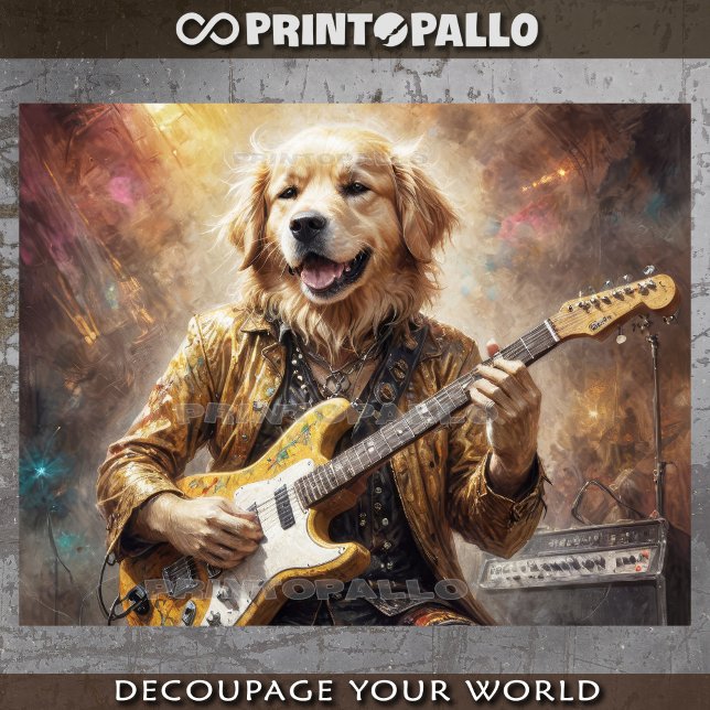 Freak Golden Retriever playing guitar at concert - Tissue Paper (Creator Uploaded)