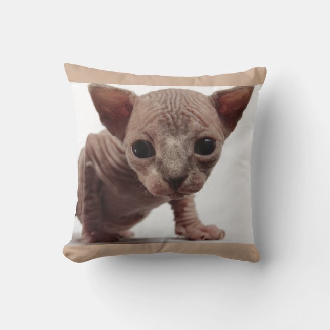 Freaky Cute Furless Sphynx Kitten Cushion (Front)