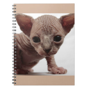 Freaky Cute Furless Sphynx Kitten Spiral Notebook