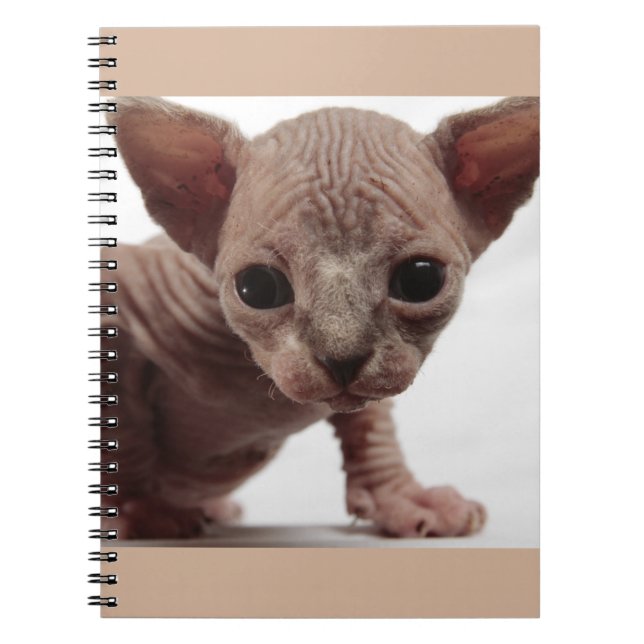 Freaky Cute Furless Sphynx Kitten Spiral Notebook (Front)