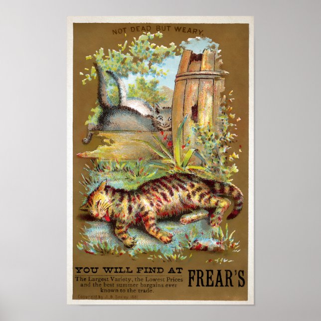 Frears Cat Trade Card #5 (of 6) Poster (Front)