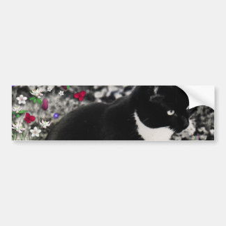 Freckles in Flowers II - Tuxedo Cat Bumper Sticker