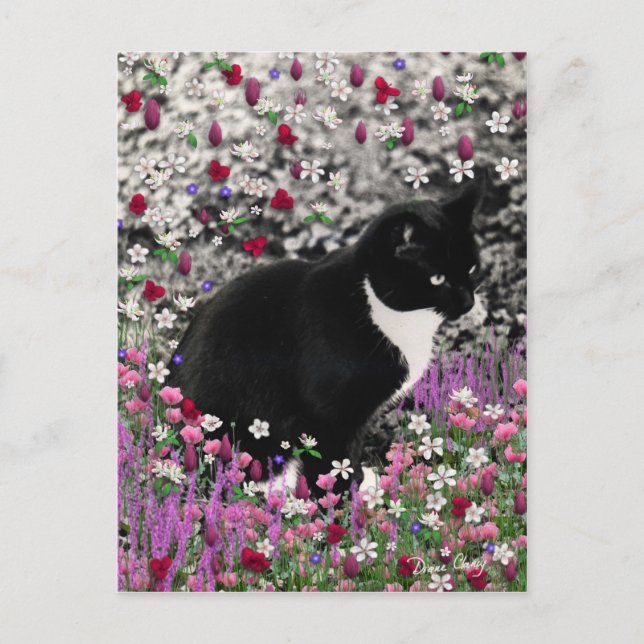 Freckles in Flowers II - Tuxedo Cat Postcard (Front)