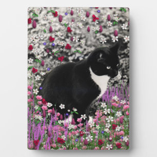 Freckles in Flowers II - Tuxedo Kitty Cat Plaque