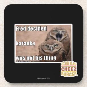 Fred decided coaster