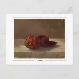 Frederic Edwin Church #16 - Fine Art Postcard