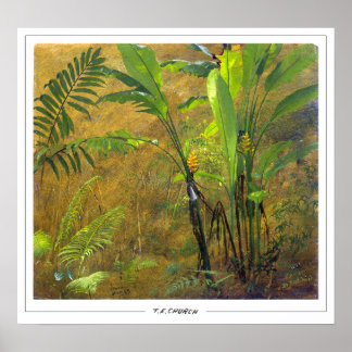 Frederic Edwin Church Fine Art #651 Poster