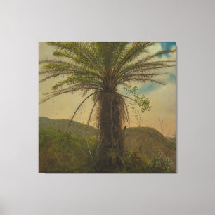 Frederic Edwin Church - Tree Fern, Jamaica Canvas Print