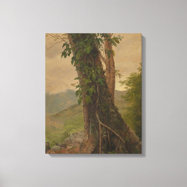 Frederic Edwin Church - Tree trunk Canvas Print (Front)