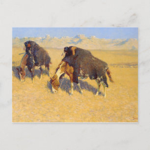 Frederic Remington - Indians Simulating Buffalo Postcard