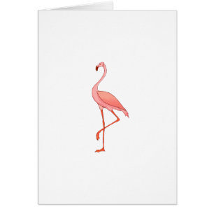 Frederick Flamingo