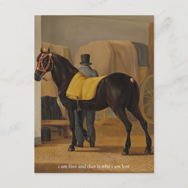 free and lost poster postcard (Front)