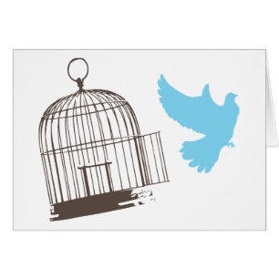 Free Bird