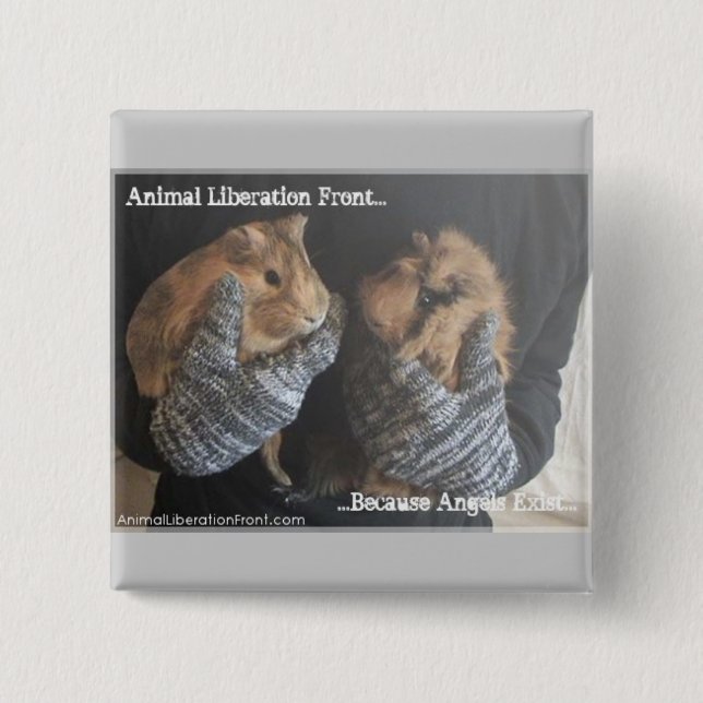 Free Guinea Pigs 15 Cm Square Badge (Front)