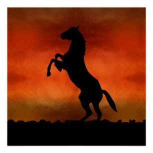 Free Horse At Sunset Poster