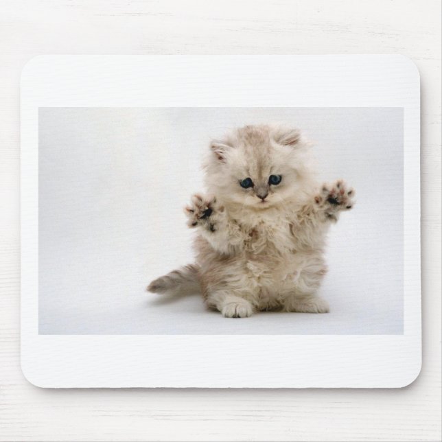 Free Hugs Kitten Mouse Pad (Front)