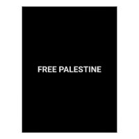 Free Palestine black white custom text simple