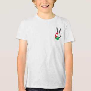 Free Palestine Hoodie Tri-Blend Shirt