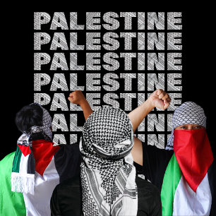 Free Palestine In Palestinian Scarf Design  Gaza T-Shirt