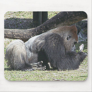 Free Poker Lessons Mouse Pad