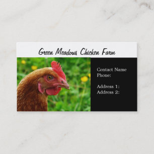 Free Range Eggs Hen Business Cards