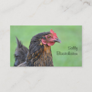 Free range hen and egg photo business card