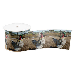 Free Range Rooster Farm, Satin Ribbon